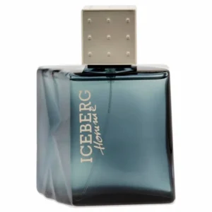 Iceberg Homme Eau de Toilette spary 100ml